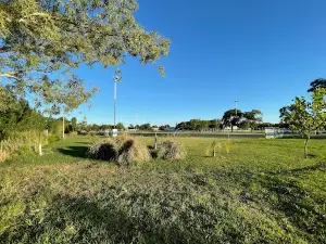Sportivo Rivadavia San Genaro