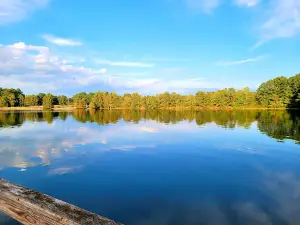Lake Monticello Park
