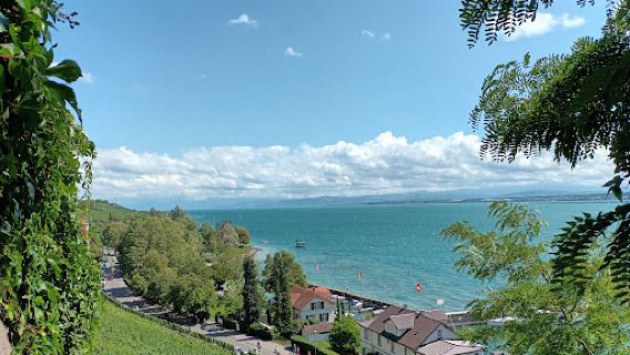 Uferpromenade Meersburg
