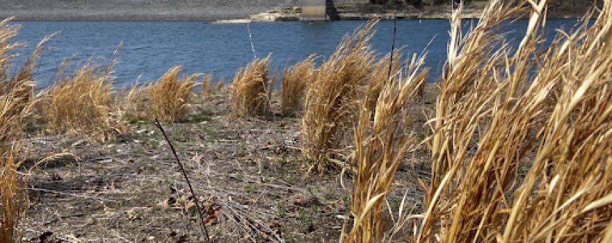 Pomme de Terre Lake