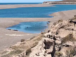 Mirador Elefantes Marinos