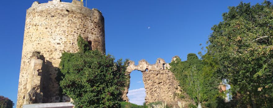 Castillo de Palacios de la Valduerna