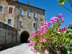 Percorso Lavanda