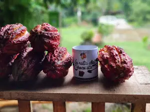 LA RUTA DEL CHOCOLATE