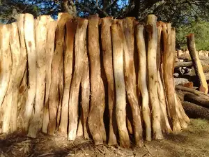 Camping Parador
