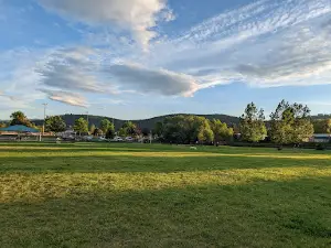 Paws to Play Dog Park