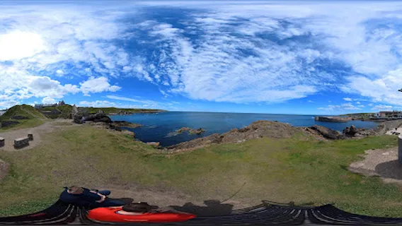 Public Art: Dolphin Statue