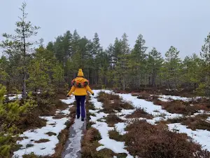 Seljamäe õppematkarada