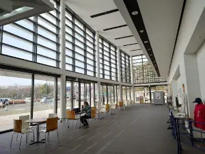 Ikenokawa Sakura Arena
