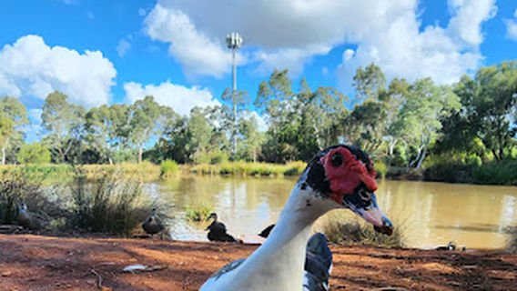 Elizabeth Park