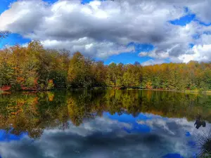 Gosh Lake