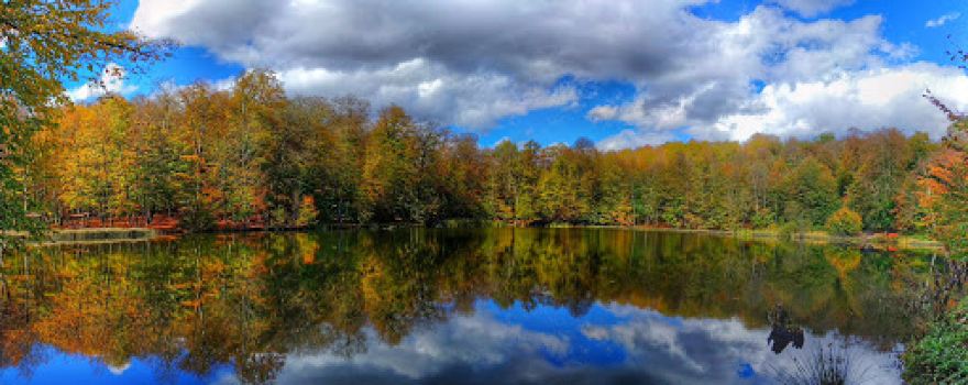 Gosh Lake