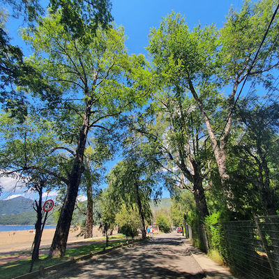 Paseo Playa Lago Caburgua