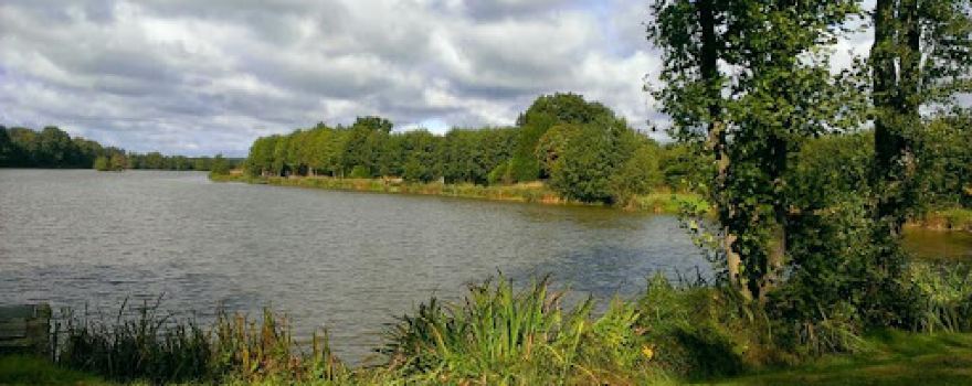 SCI de l'étang neuf