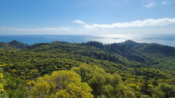 Mount Elliot section, Bowling Green Bay National Park