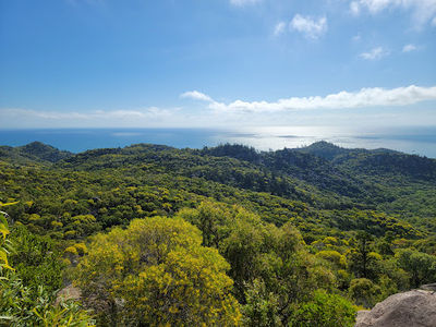 Mount Elliot section, Bowling Green Bay National Park
