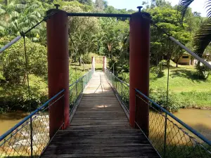 Cachoeira Rio do Meio