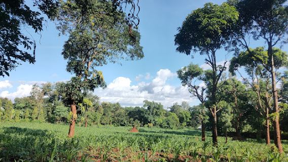 Uhuru Park