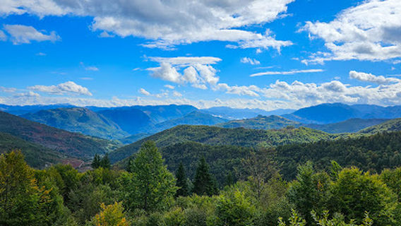 Circular Viewpoint