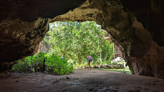 Makauwahi Cave Trail