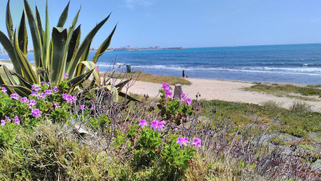 Playa Torrevieja