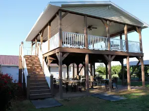 Homestead Vineyards