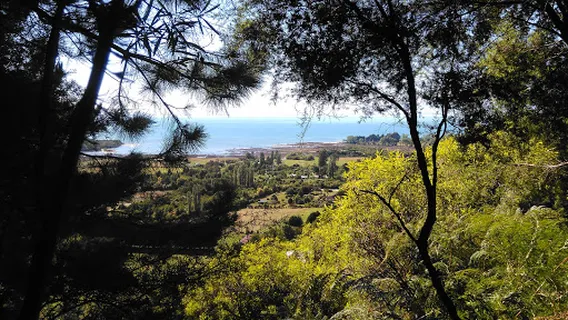 Abel Tasman Paddle Boarding