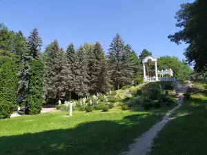 Dolina Roz