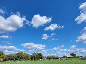 Barthelmas Park
