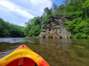 Dan River