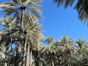 Bait Al Safah