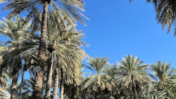 Bait Al Safah
