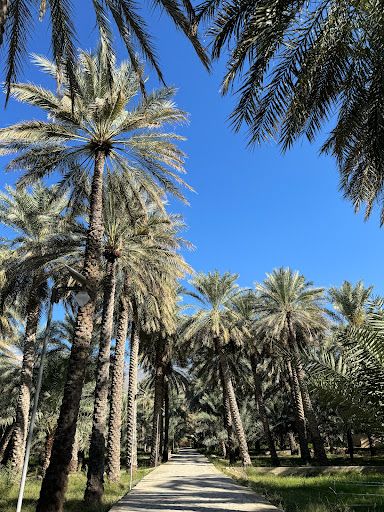 Bait Al Safah