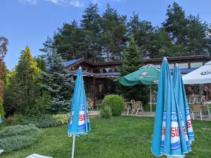 Dragoman pool