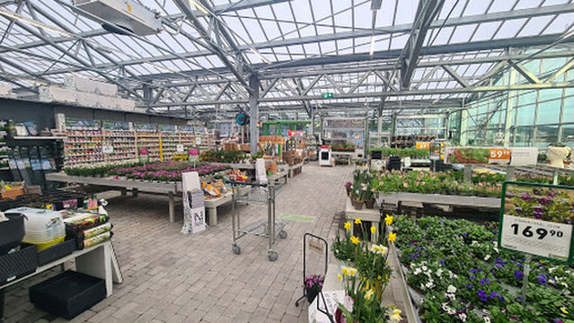 Hageland Solblomsten