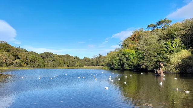 Adventure Cove & Wild Woodland