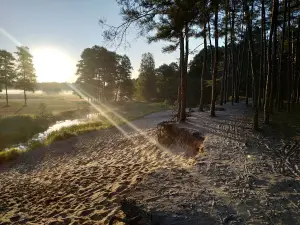 Piaskowa Góra nad Grabią
