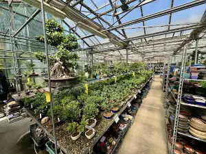 Bonsai Center Ltd.