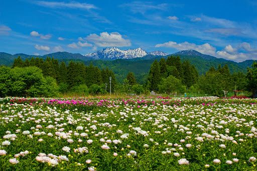 Compare 5 airports near Kamiichi