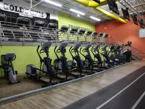 Gold's Gym