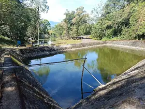 Pucak Botanical Garden