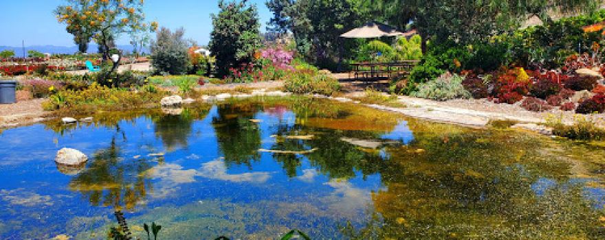 Waterwise Botanicals