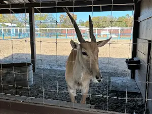 Hope Ranch