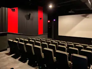 RCE Theaters