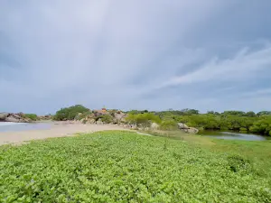 Peanut Farm Beach