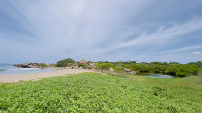 Peanut Farm Beach