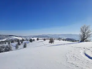 Szabadtéri Grillező