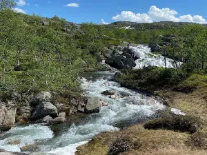 Nesjø båtutleie camping