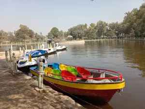 Forest Park Mian Channu