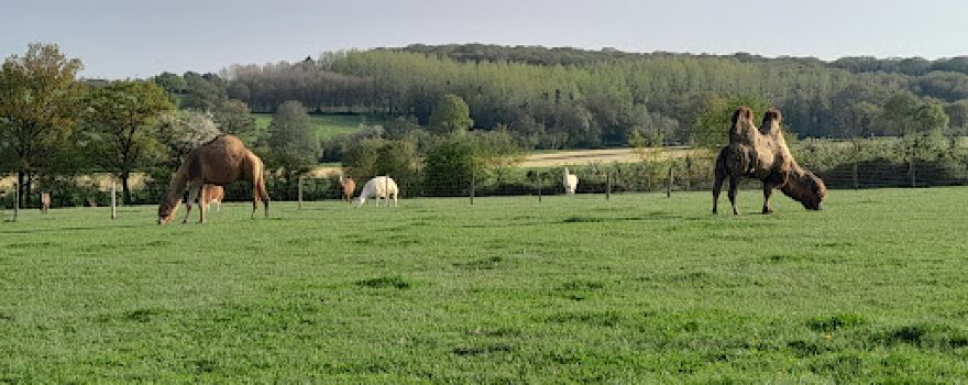 L'Arche Desnoe Parc animalier